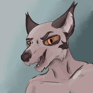 For Pawotz